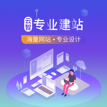 专业建站/企业网站/网站制作